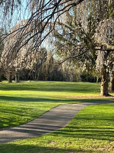 Fore! White Birch Golf Course has 'grand opening' on Saturday ...