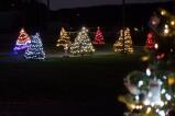 Christmas trees line a path through Walnutport Playground.